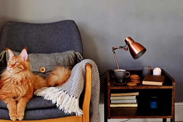 بهترین مبلمان مناسب پت | راهنمای خرید مبل برای حیوان خانگی 5 چوب سخت برای مبلمان مناسب پت