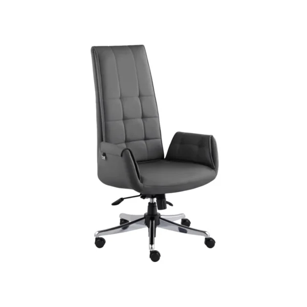 خرید صندلی مدیریتی راشن مدل M930