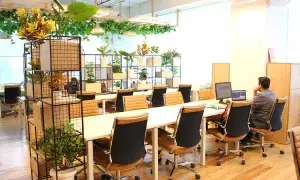 بهترین چیدمان میز و صندلی در فضای کار اشتراکی