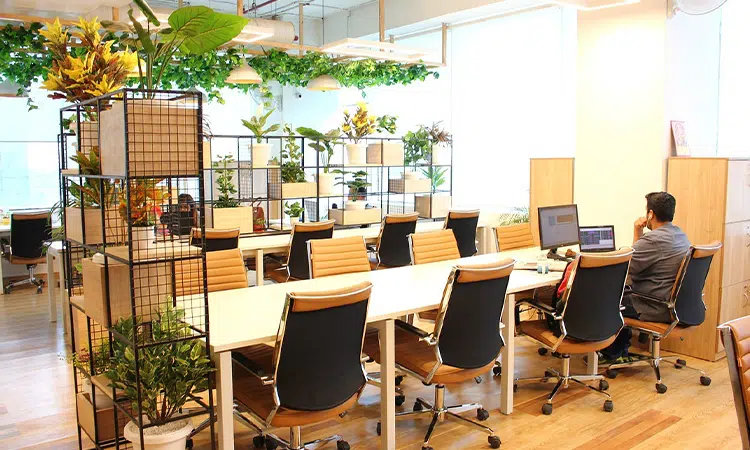 بهترین چیدمان میز و صندلی در فضای کار اشتراکی